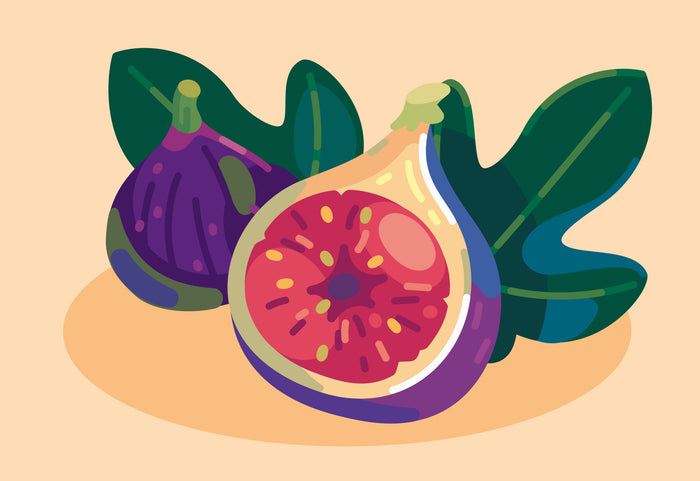Illustration of a fig