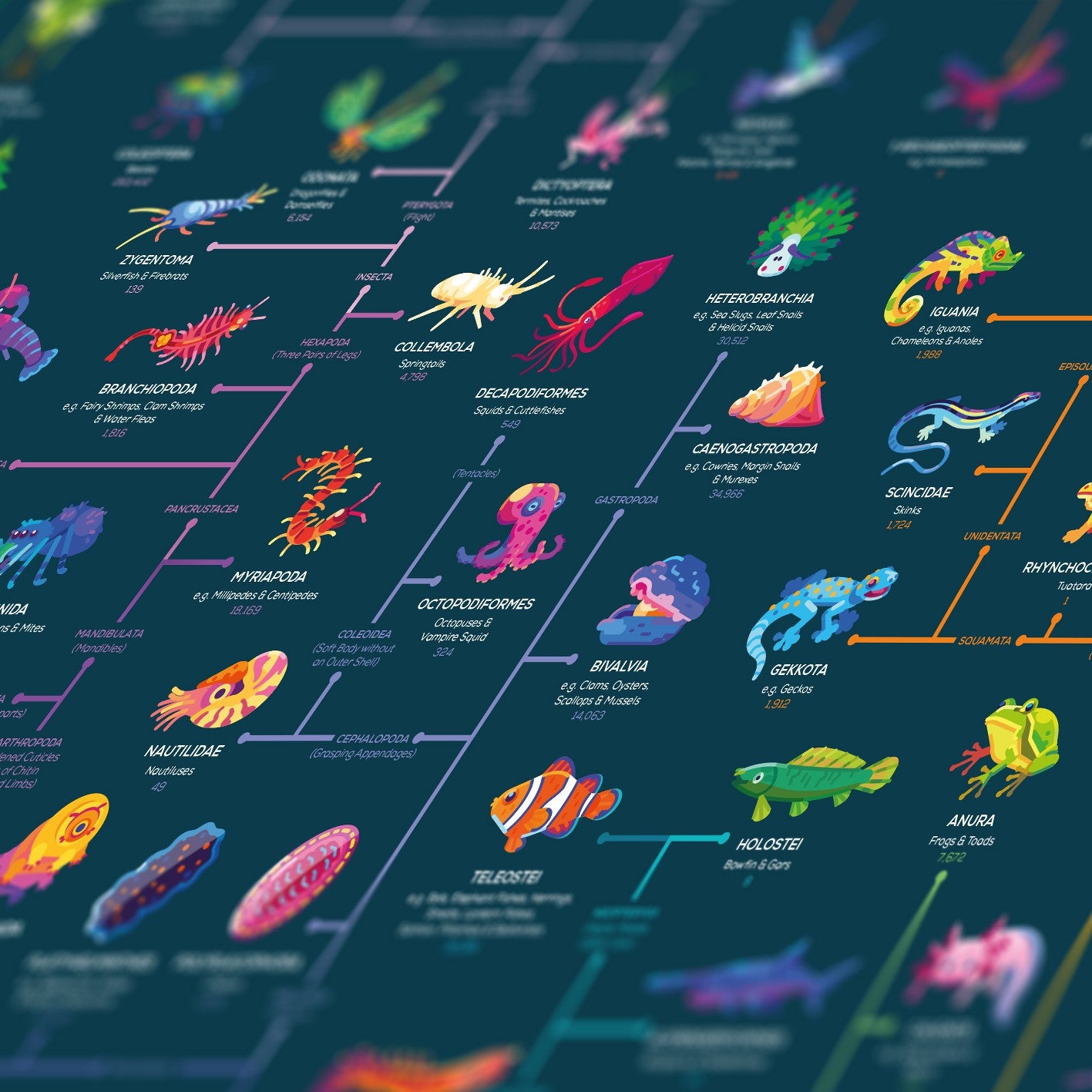 Education Edition Poster Bundle 4 Pack The Kurzgesagt Shop education-edition-poster-bundle-4-pack-the-kurzgesagt-shop