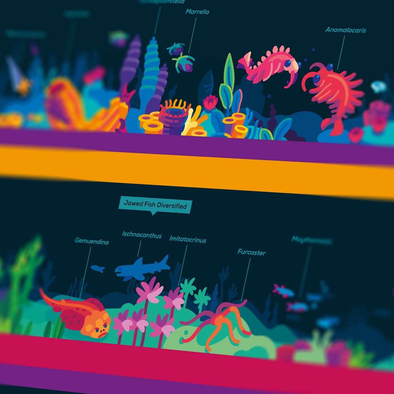 Evolution Of Animals Timeline evolution-of-animals-timeline