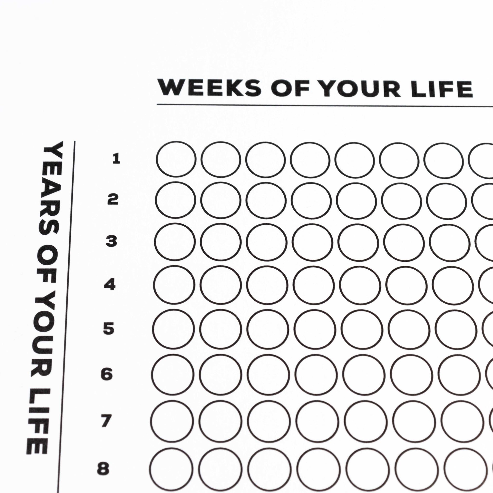 Calendar Of Your Life Infographic Poster B W The Kurzgesagt Shop calendar-of-your-life-infographic-poster-b-w-the-kurzgesagt-shop