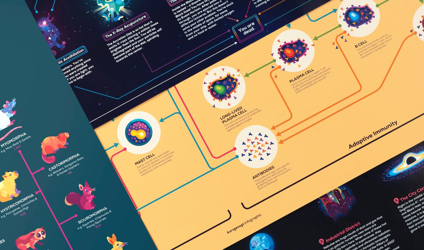 Timeline Of Complex Life Infographic Poster The Kurzgesagt Shop timeline-of-complex-life-infographic-poster-the-kurzgesagt-shop