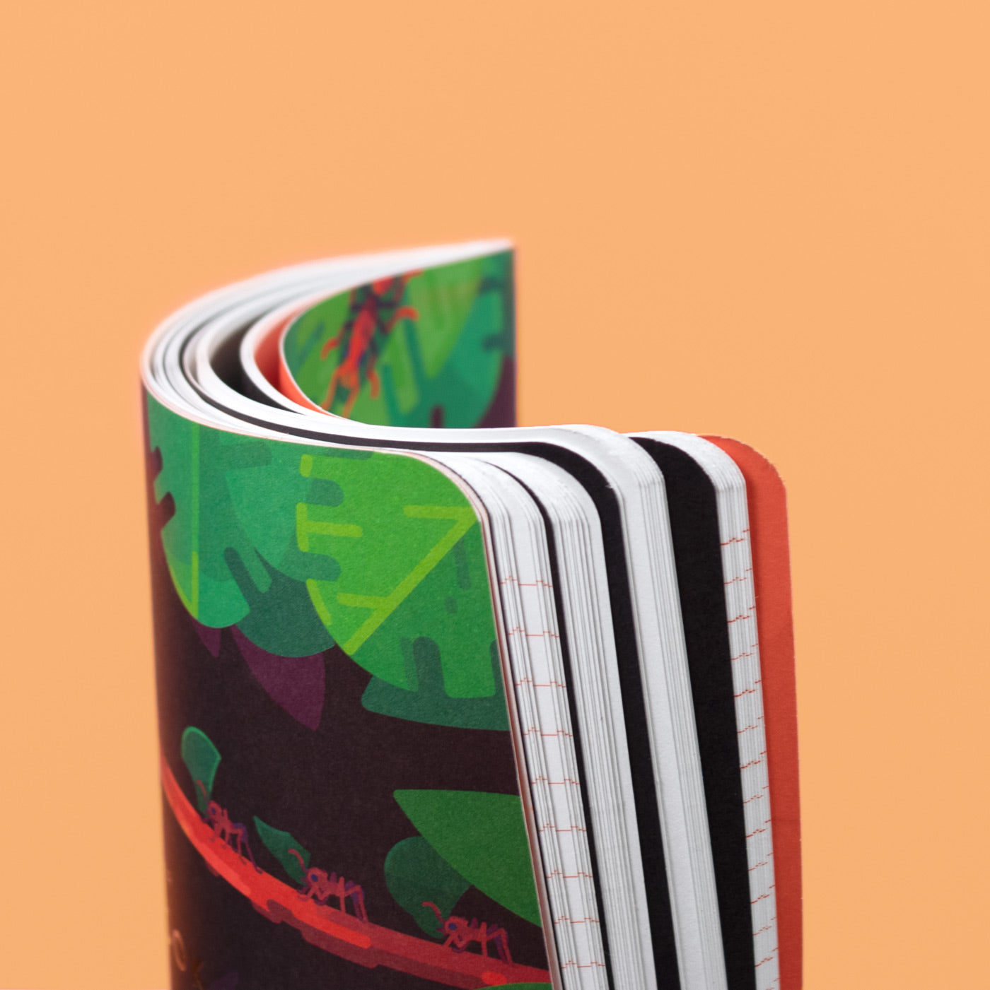 Ant Explorer Notebook – the kurzgesagt shop
